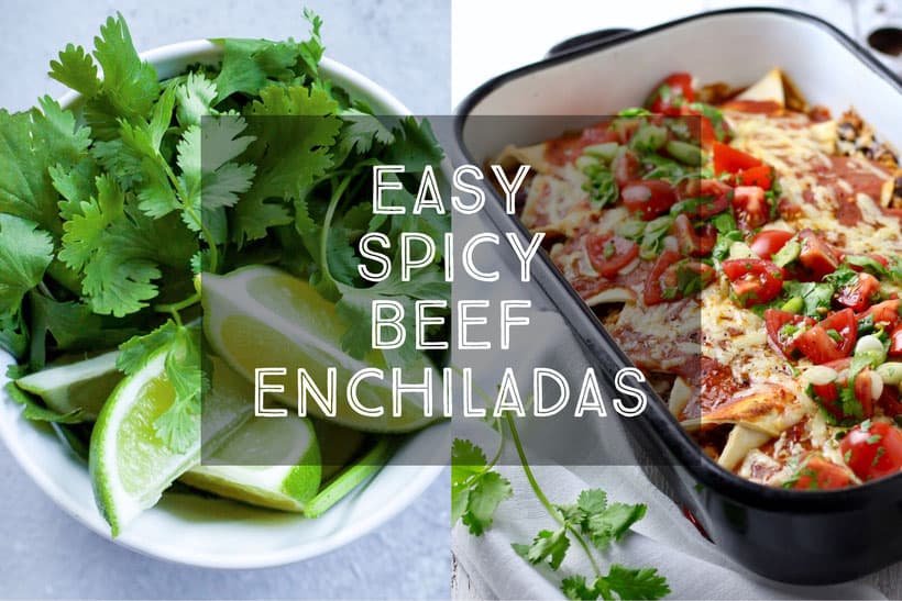 Easy Spicy Beef Enchiladas