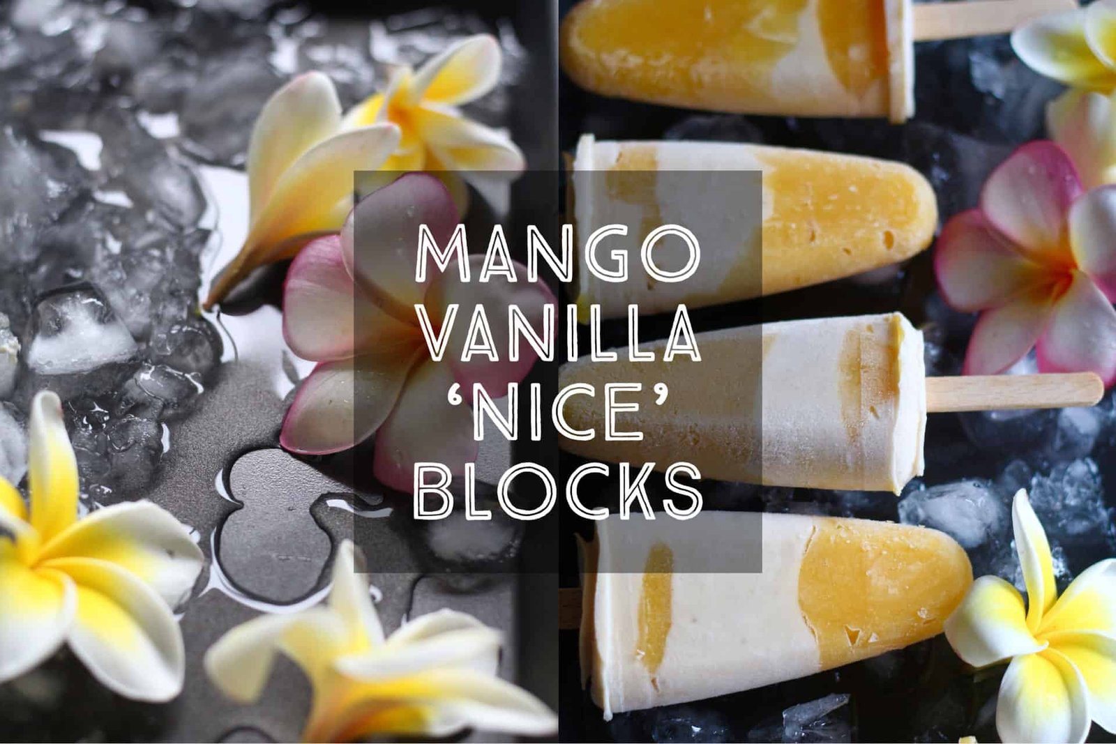 Mango Vanilla Nice Blocks