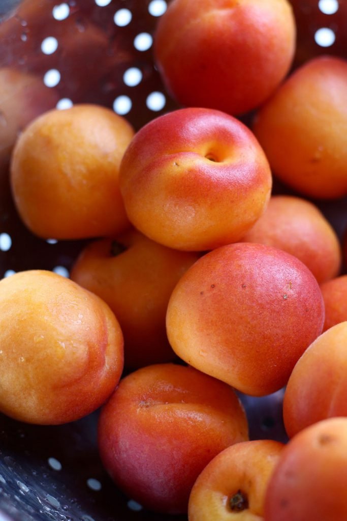 Apricots for Summertime Apricot Cake