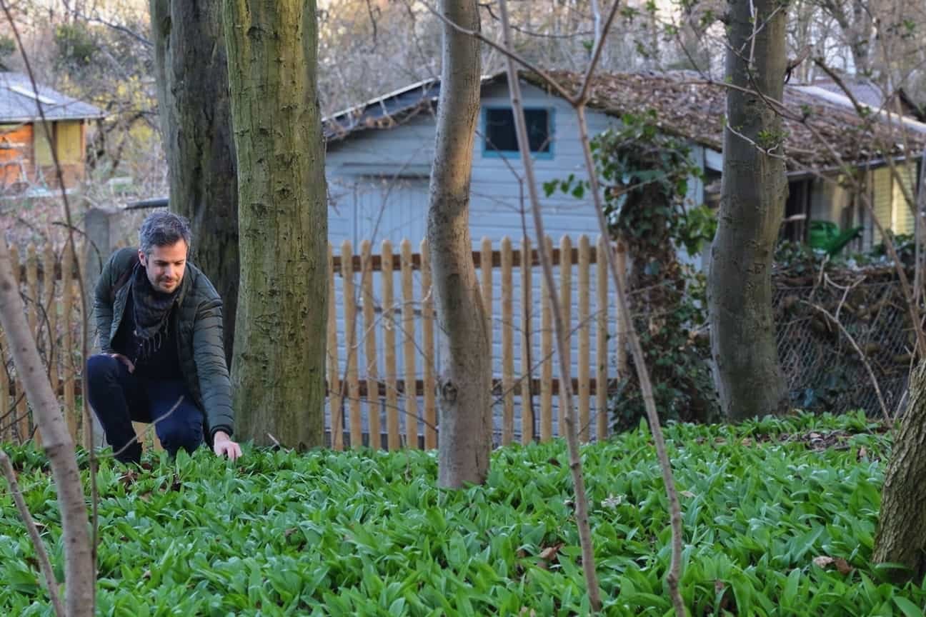 Jay picking wild garlic in Munich, Germany.