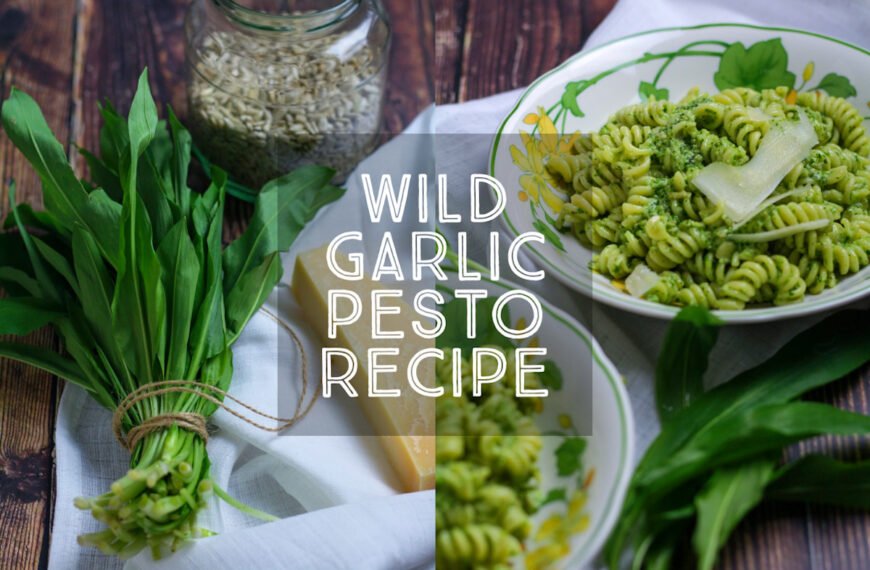 Wild Garlic Pesto (with Ramps!)