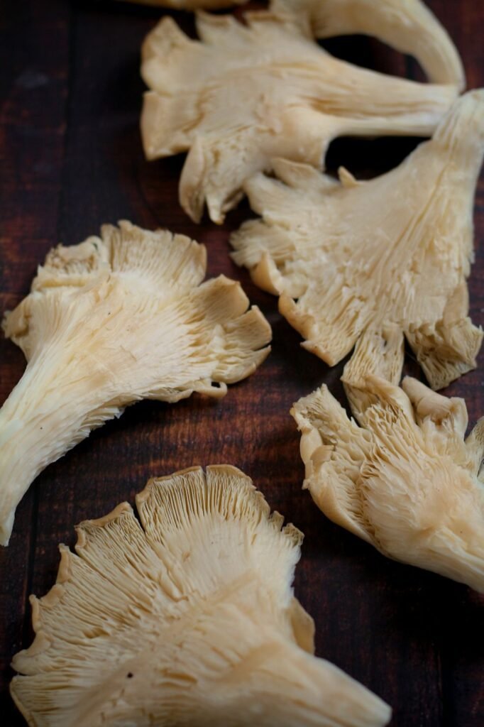 Oyster Mushrooms for Lo Mein