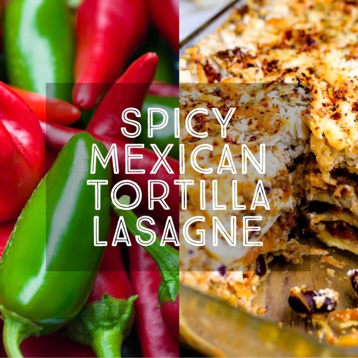 Spicy Mexican Tortilla Lasagne