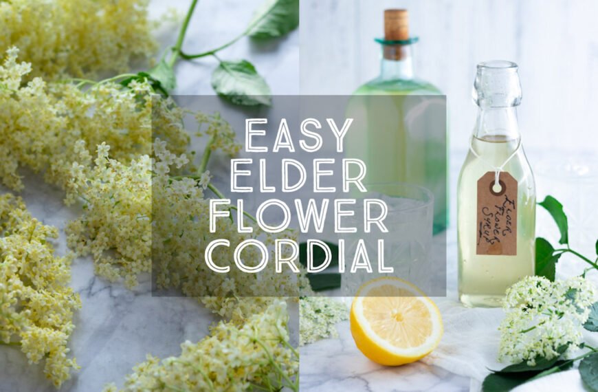 Elderflower cordial is a delicious syrup made from the flowers of the elder tree with a delicate, sweet, floral scent. MAde with three ingredients.