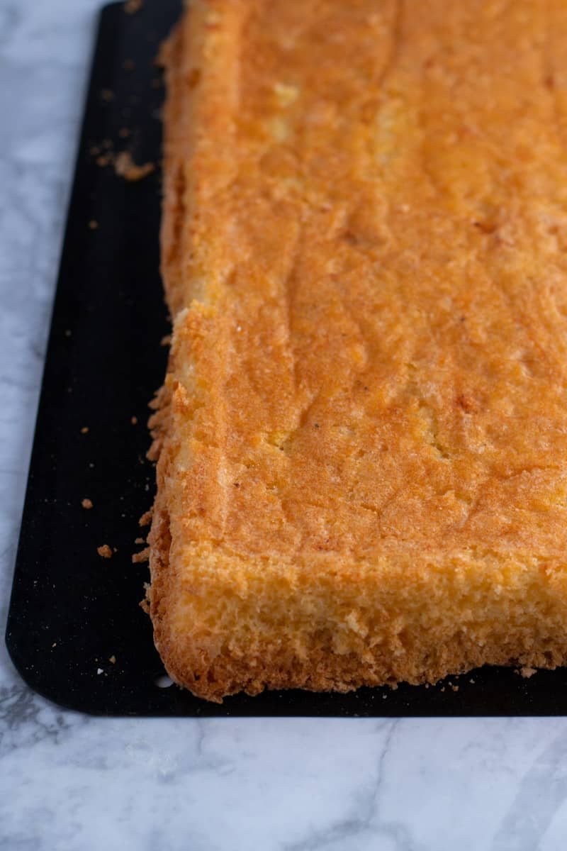 Sponge Cake baked on a tray.