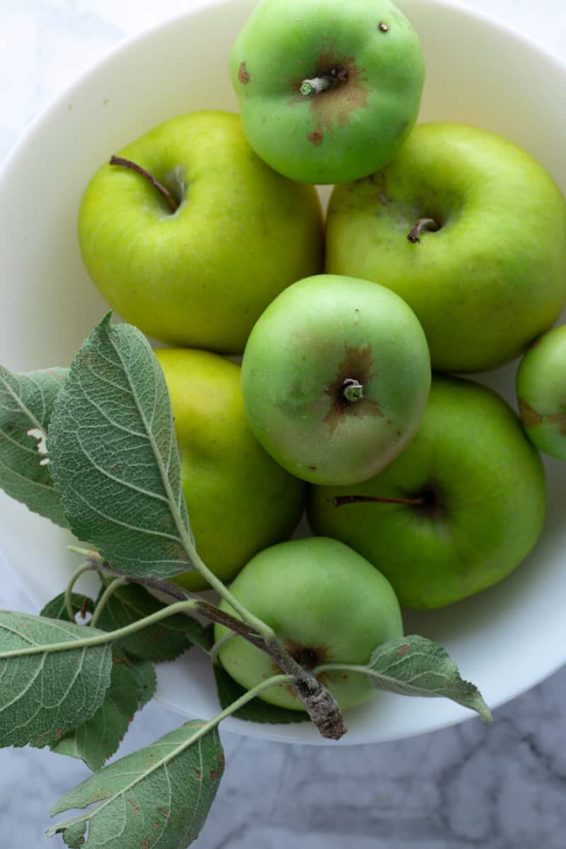 Green Apples in a bowl