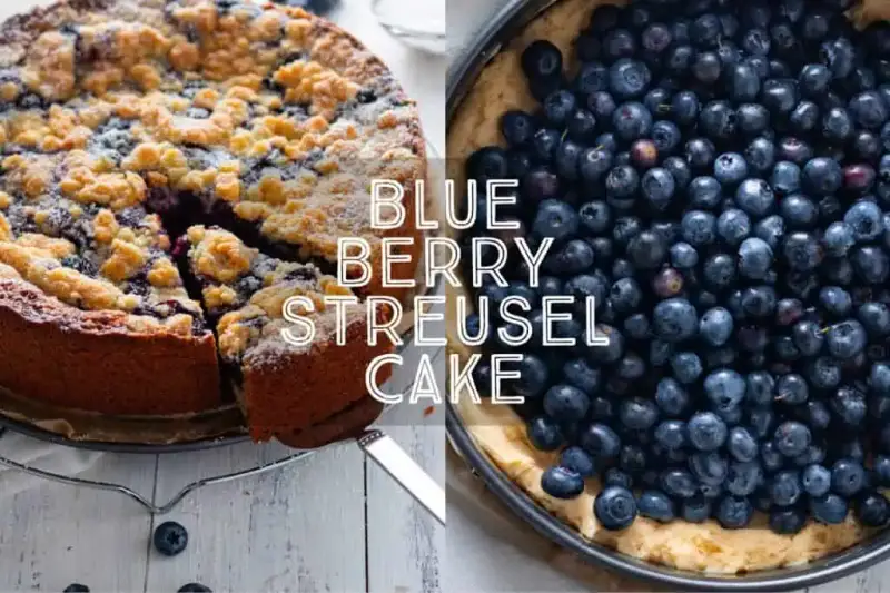 German Blueberry Streusel Cake