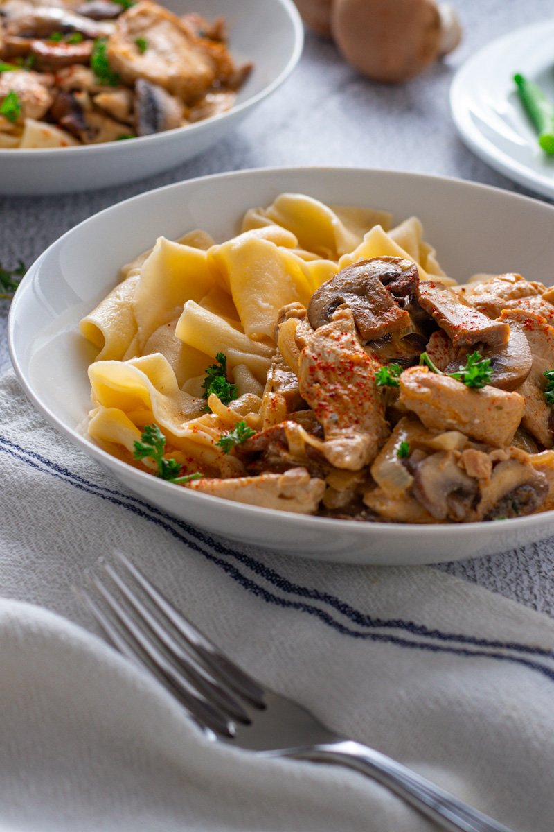 A bowl of turkey stroganoff with noodles and beans.
